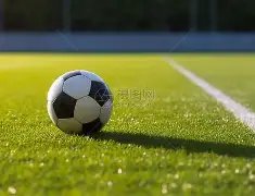 黄蟠桃批发,金蜜蟠桃,开云体育官方,开云体育,开云体育官网,开云体育app,开云体育平台,KAIYUN,SPORTS,kaiyun登录入口