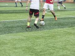 外汇交易入,门必备指南,开云体育官方,开云体育,开云体育官网,开云体育app,开云体育平台,KAIYUN,SPORTS,kaiyun登录入口