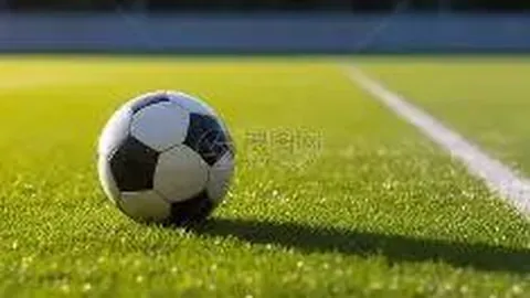 开云体育官方 资讯 111857 w9a