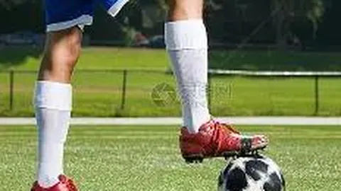 开云体育官方 产品 093740 0wh